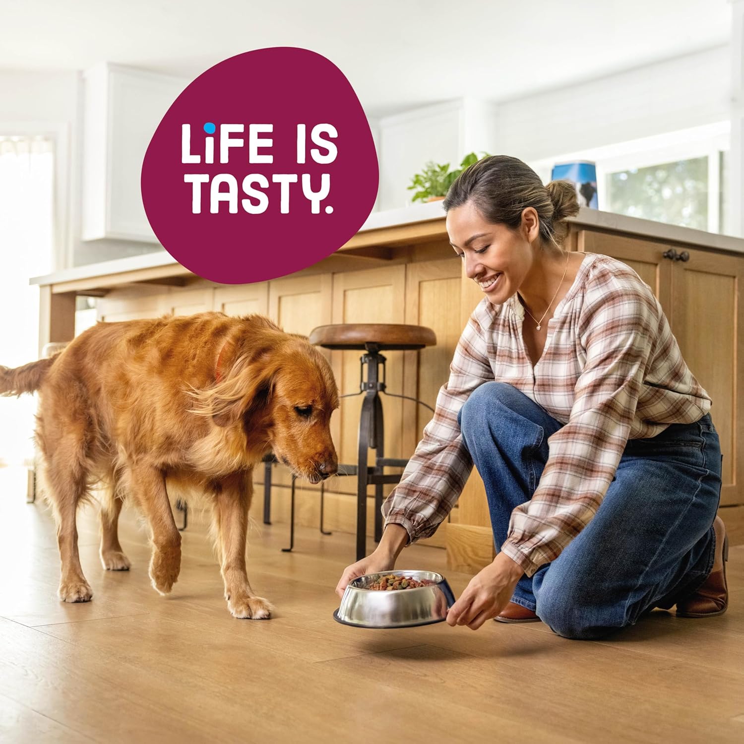 Kibbles 'n Bits Dry Dog Food, Savory Bacon & Steak Flavor for Adult Dogs 16 lb. Bag | Complete & Balanced Nutrition Formulated For Adult Dogs, Crunchy Kibbles And Chewy Meaty Bits