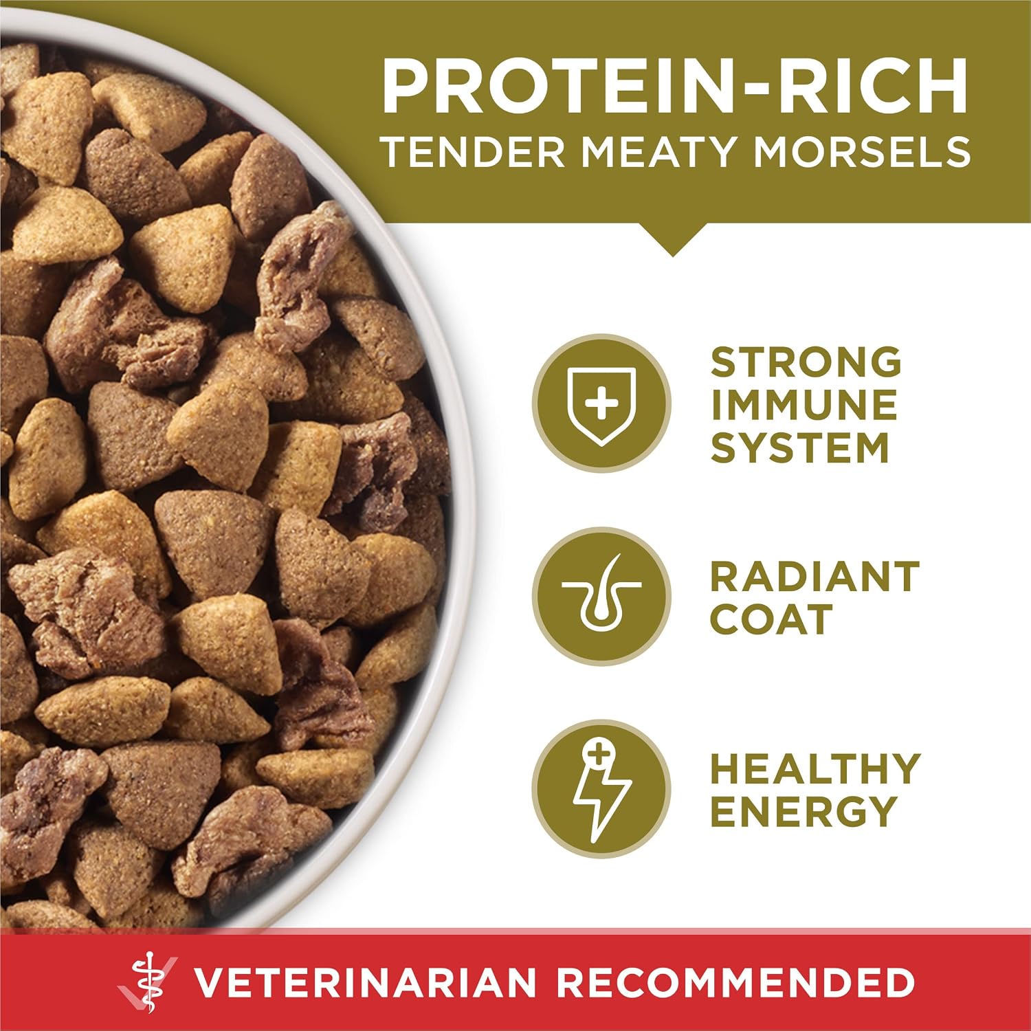 Purina ONE Dry Dog Food Lamb and Rice Formula - 16.5 lb. Bag