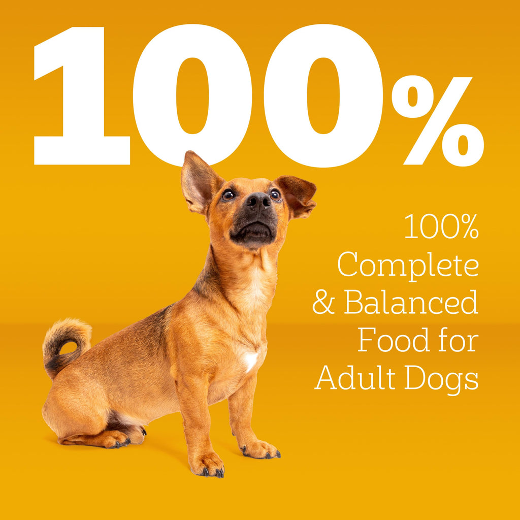 Pedigree Small Dogs Dry Dog Food, Grilled Steak and Vegetable, 14 lb | 100% complete & balanced, 36 vitamins & minerals, Omega-6 & Zinc, natural fibers for digestion, immune support