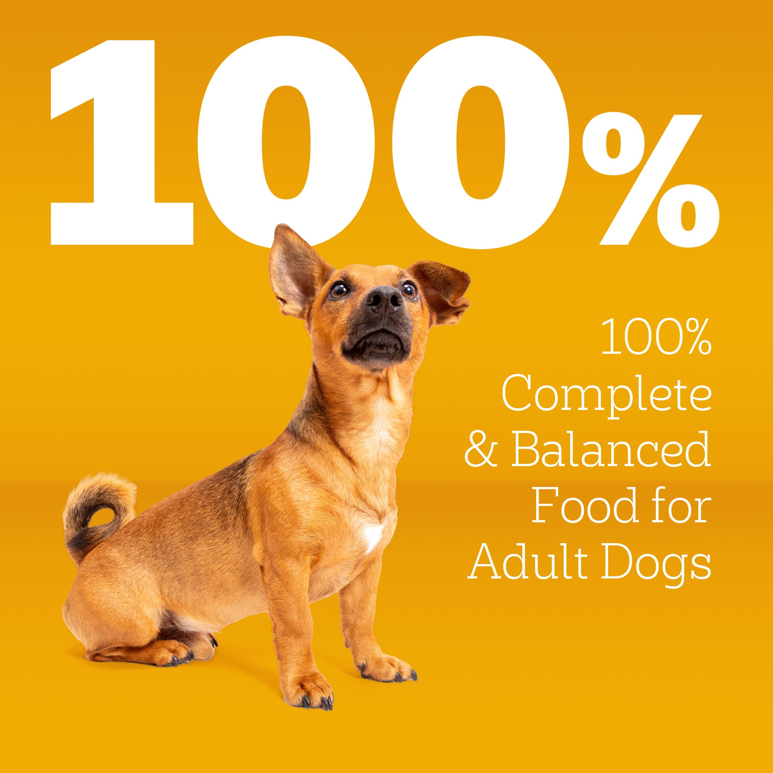 Pedigree Small Dogs Dry Dog Food, Grilled Steak and Vegetable, 14 lb | 100% complete & balanced, 36 vitamins & minerals, Omega-6 & Zinc, natural fibers for digestion, immune support