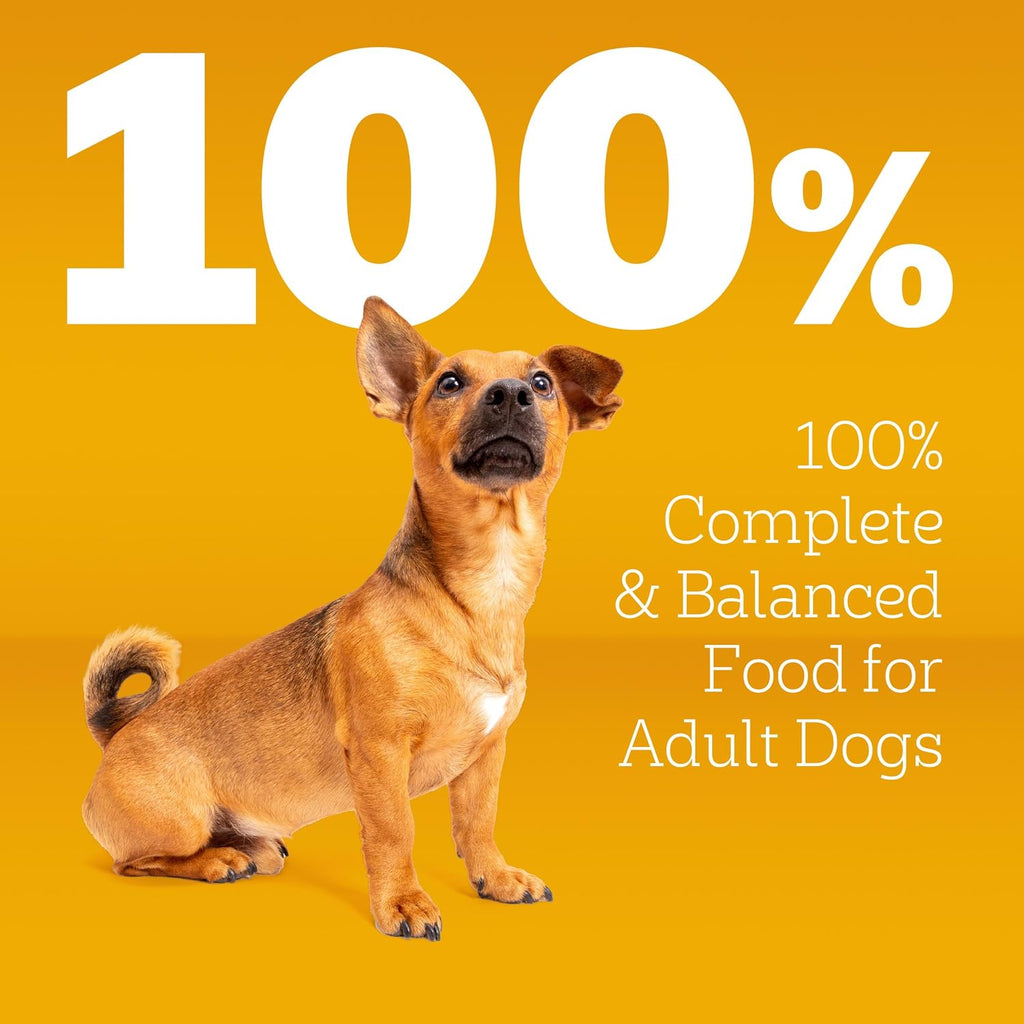 Pedigree Small Dogs Dry Dog Food, Grilled Steak and Vegetable, 14 lb | 100% complete & balanced, 36 vitamins & minerals, Omega-6 & Zinc, natural fibers for digestion, immune support