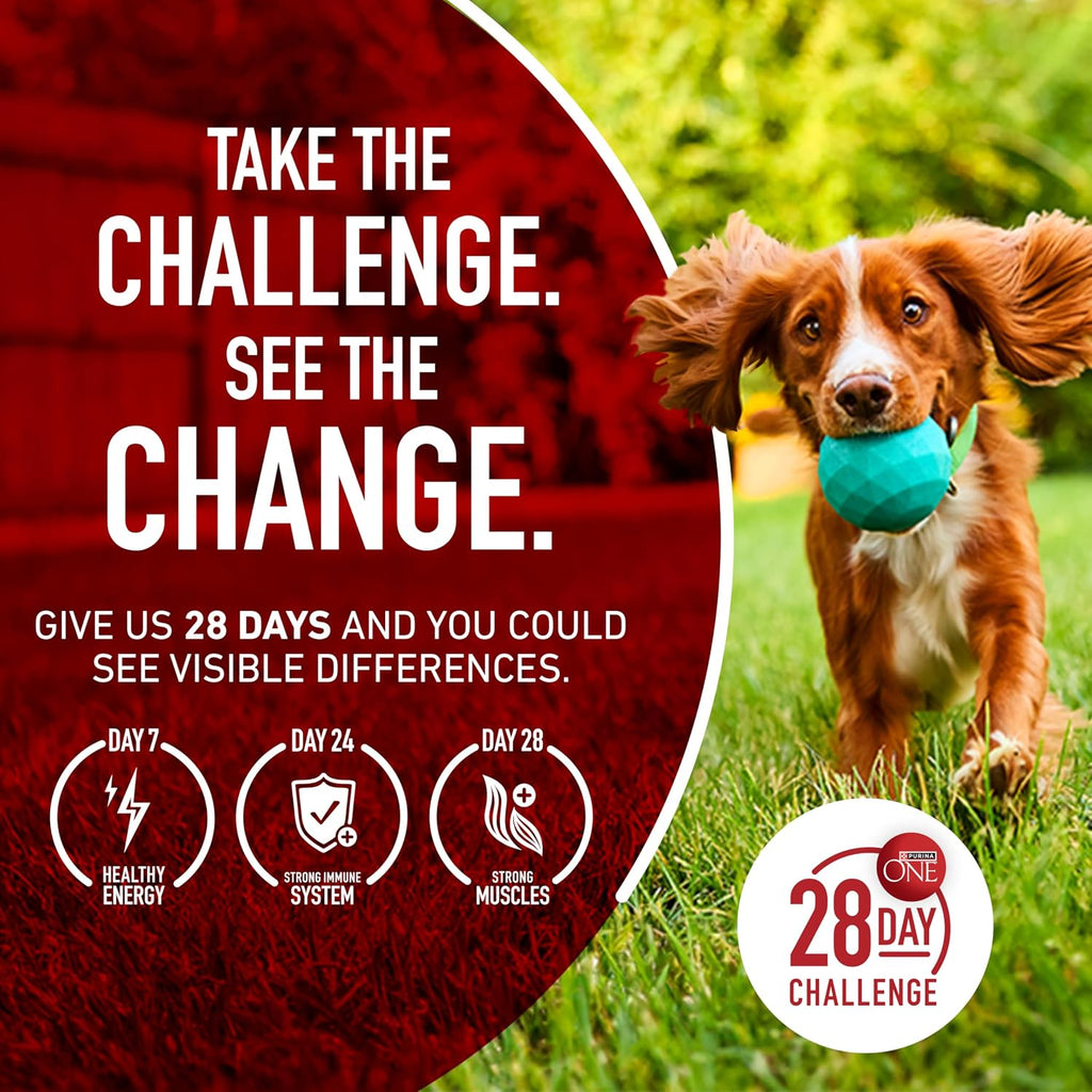 Purina ONE Dry Dog Food Lamb and Rice Formula - 16.5 lb. Bag