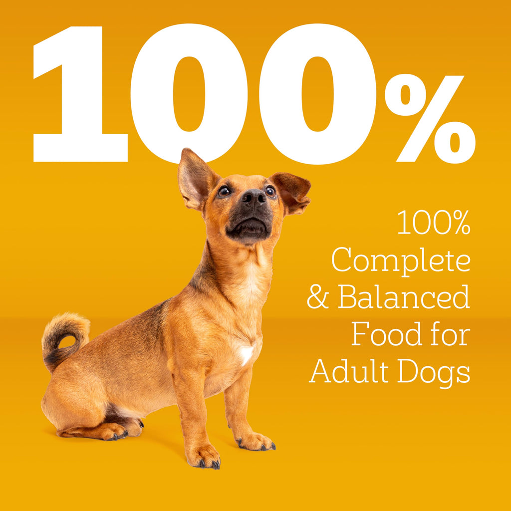 Pedigree Small Dogs Dry Dog Food, Grilled Steak and Vegetable, 14 lb | 100% complete & balanced, 36 vitamins & minerals, Omega-6 & Zinc, natural fibers for digestion, immune support