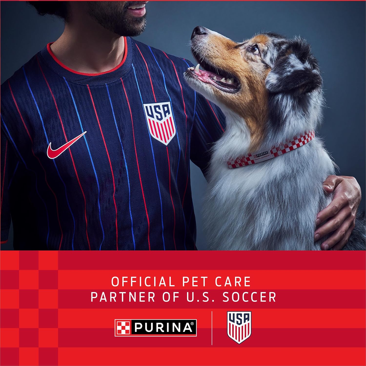 Purina ONE Dry Dog Food Lamb and Rice Formula - 16.5 lb. Bag